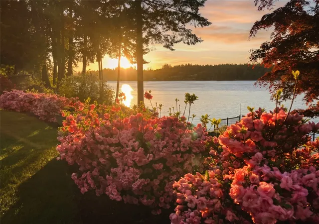 Photo 1 of Single family home for sale at 240 SE Mallard Beach Ln, Shelton, WA 98584 | MLS# NWM2534203 | Listing updated on 2026-10-29