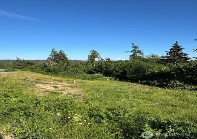 Photo 3 of Land for sale at 0 E Archer Ridge Rd, Allyn, WA 98524 | MLS# NWM2534280 | Listing updated on 2026-09-21