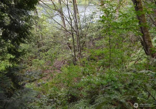 Photo 4 of Land for sale at 18 Xx Sleepy Holw Ln, Bellingham, WA 98226 | MLS# NWM2534738 | Listing updated on 2026-09-21