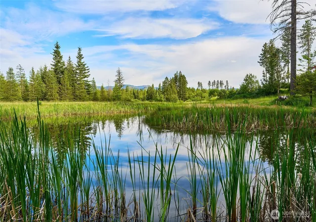 Photo 3 of Land for sale at 1335 Payne Holw Rd, Dayton, WA 99328 | MLS# NWM2534800 | Listing updated on 2026-09-21