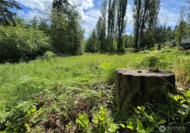 Photo 3 of Land for sale at 16330 93rd Avenue Sw, Vashon, WA 98070 | MLS# NWM2535073 | Listing updated on 2026-09-21