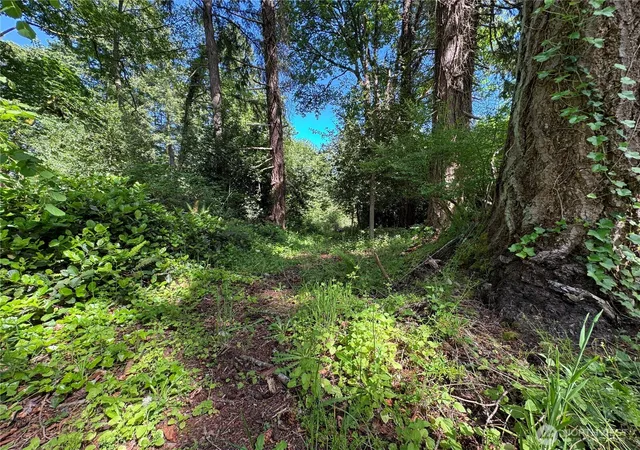 Photo 3 of Land for sale at 16330 93rd Avenue SW, Vashon, WA 98070 | MLS# NWM2535073 | Listing updated on 2026-09-21
