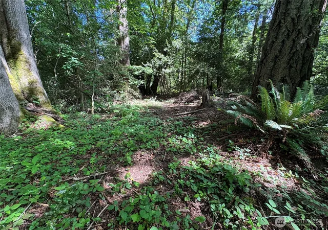 Photo 4 of Land for sale at 16330 93rd Avenue SW, Vashon, WA 98070 | MLS# NWM2535073 | Listing updated on 2026-09-21