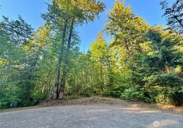 Photo 3 of Land for sale at 7546 Colleen Ct, Deming, WA 98244 | MLS# NWM2535339 | Listing updated on 2026-09-21