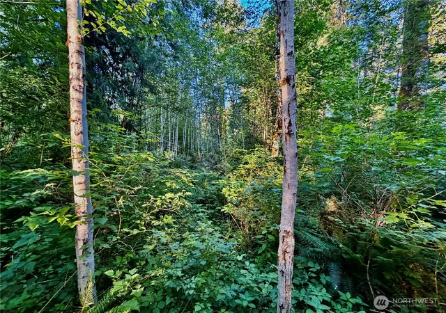 Photo 3 of Land for sale at 7546 Colleen Ct, Deming, WA 98244 | MLS# NWM2535339 | Listing updated on 2026-09-21