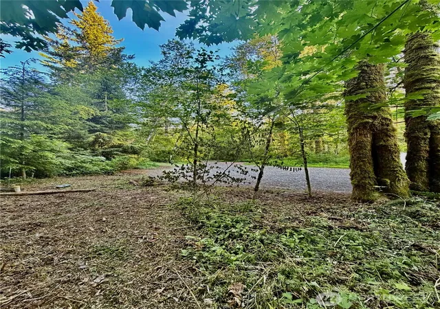 Photo 4 of Land for sale at 7546 Colleen Ct, Deming, WA 98244 | MLS# NWM2535339 | Listing updated on 2026-09-21