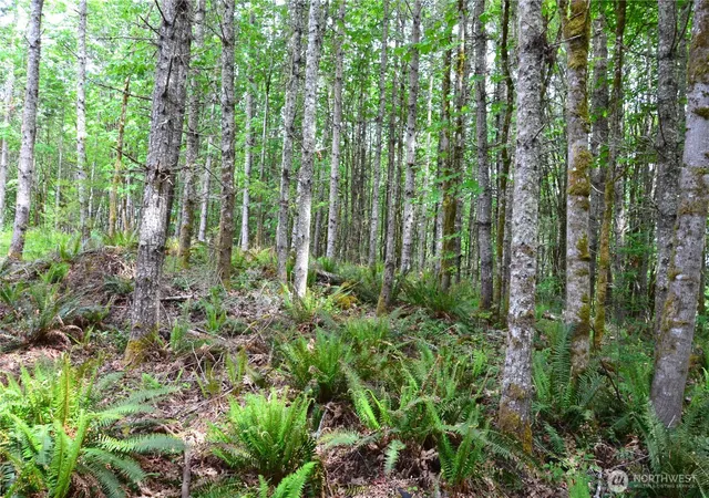 Photo 3 of Land for sale at 110 Country Ridge Rd, Chimacum, WA 98325 | MLS# NWM2535357 | Listing updated on 2026-09-21