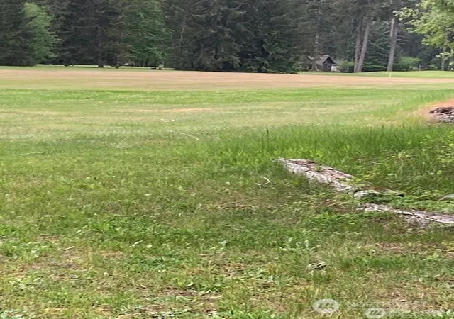 Photo 4 of Land for sale at 201 N Duckabush Dr E, Hoodsport, WA 98548 | MLS# NWM2535443 | Listing updated on 2026-09-21