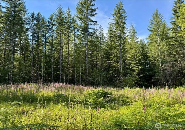 Photo 2 of Land for sale at 35186 294th Avenue Se, Enumclaw, WA 98022 | MLS# NWM2535581 | Listing updated on 2026-09-21