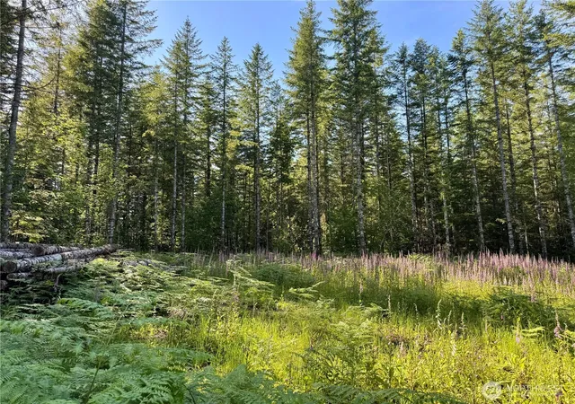 Photo 3 of Land for sale at 35186 294th Avenue Se, Enumclaw, WA 98022 | MLS# NWM2535581 | Listing updated on 2026-09-21