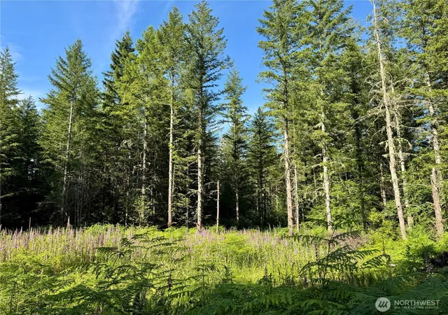 Photo 3 of Land for sale at 35186 294th Avenue SE, Enumclaw, WA 98022 | MLS# NWM2535581 | Listing updated on 2026-09-21