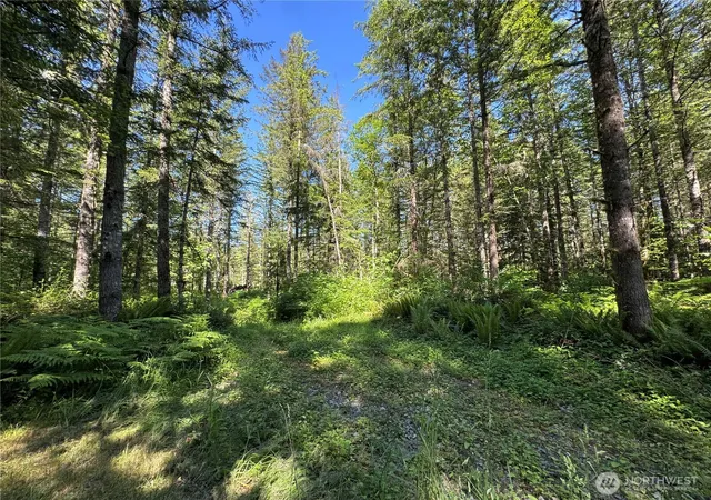 Photo 4 of Land for sale at 35186 294th Avenue SE, Enumclaw, WA 98022 | MLS# NWM2535581 | Listing updated on 2026-09-21