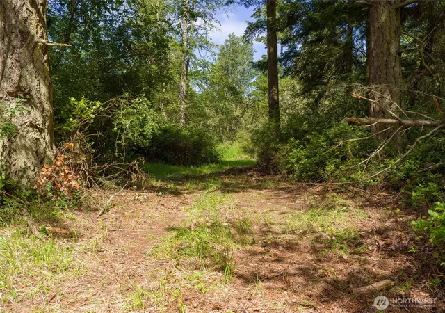 Photo 4 of Land for sale at 1486 Center Rd, Lopez Island, WA 98261 | MLS# NWM2535709 | Listing updated on 2026-09-21
