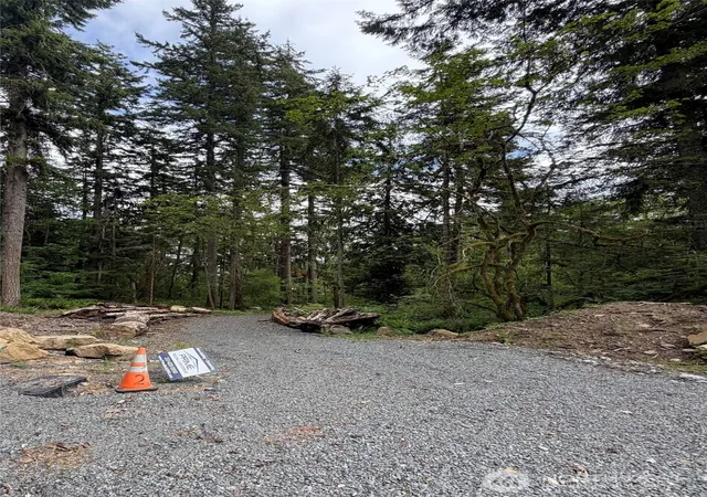 Photo 1 of Sale Pending at 55015 315th Avenue, Ashford, WA 98304 | MLS# NWM2535748 | Listing updated on 2026-08-07