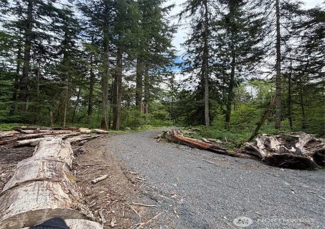 Photo 2 of Sale Pending at 55015 315th Avenue, Ashford, WA 98304 | MLS# NWM2535748 | Listing updated on 2026-08-07