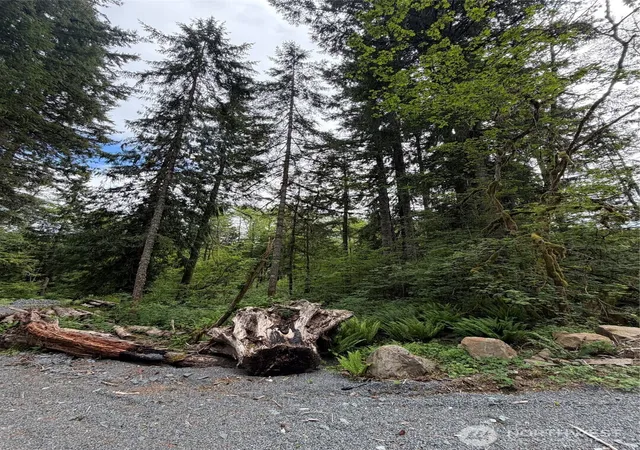 Photo 3 of Sale Pending at 55015 315th Avenue, Ashford, WA 98304 | MLS# NWM2535748 | Listing updated on 2026-08-07