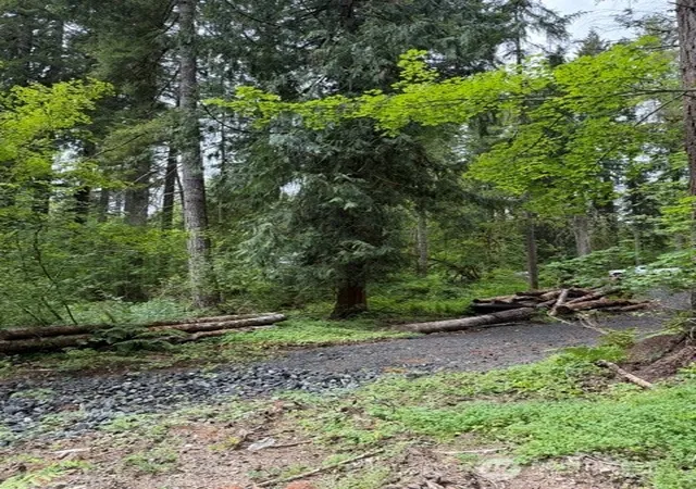 Photo 3 of Sale Pending at 55015 315th Avenue, Ashford, WA 98304 | MLS# NWM2535748 | Listing updated on 2026-08-07