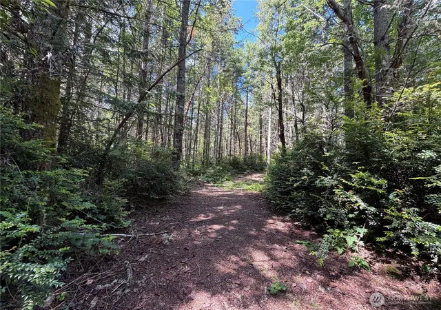 Photo 1 of Land for sale at 178 Geoduck Dr, Quilcene, WA 98376 | MLS# NWM2535772 | Listing updated on 2026-09-21