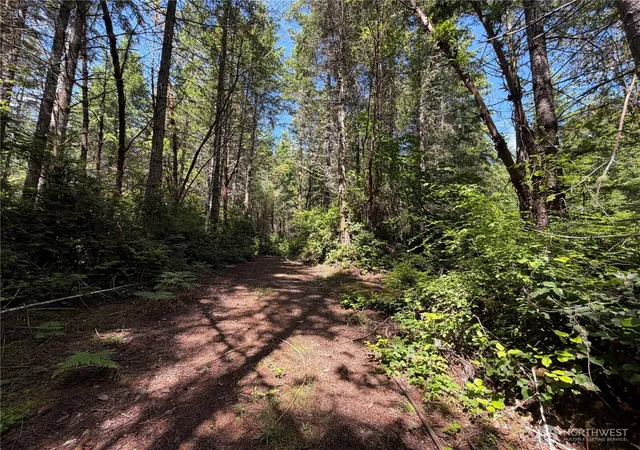 Photo 2 of Land for sale at 178 Geoduck Dr, Quilcene, WA 98376 | MLS# NWM2535772 | Listing updated on 2026-09-21
