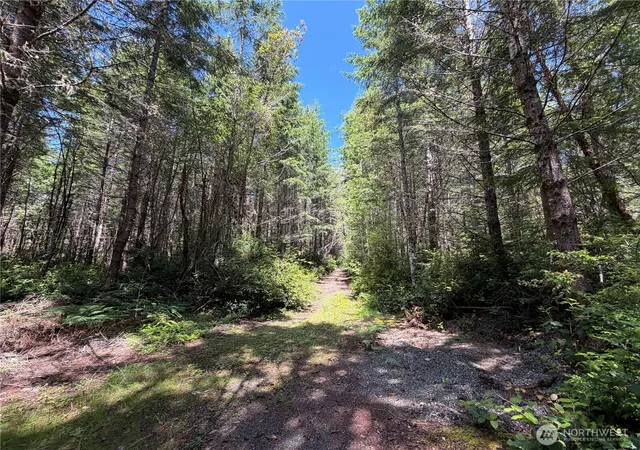 Photo 3 of Land for sale at 178 Geoduck Dr, Quilcene, WA 98376 | MLS# NWM2535772 | Listing updated on 2026-09-21