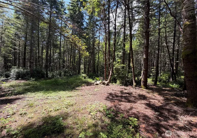 Photo 3 of Land for sale at 178 Geoduck Dr, Quilcene, WA 98376 | MLS# NWM2535772 | Listing updated on 2026-09-21