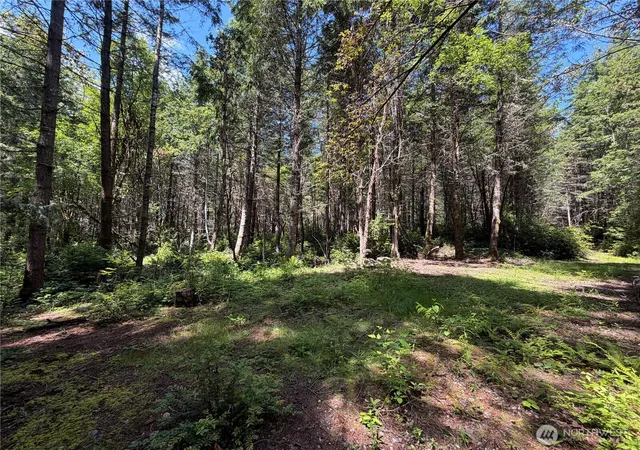Photo 4 of Land for sale at 178 Geoduck Dr, Quilcene, WA 98376 | MLS# NWM2535772 | Listing updated on 2026-09-21