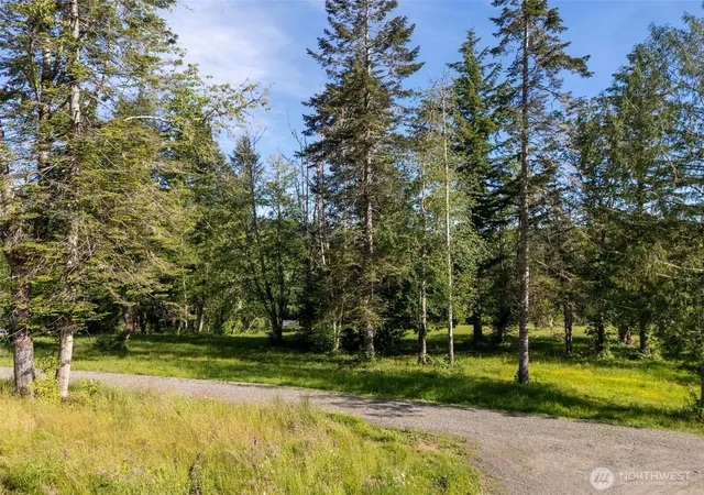 Photo 3 of Land for sale at 9999 Leland Valley Rd, Quilcene, WA 98376 | MLS# NWM2535834 | Listing updated on 2026-09-21