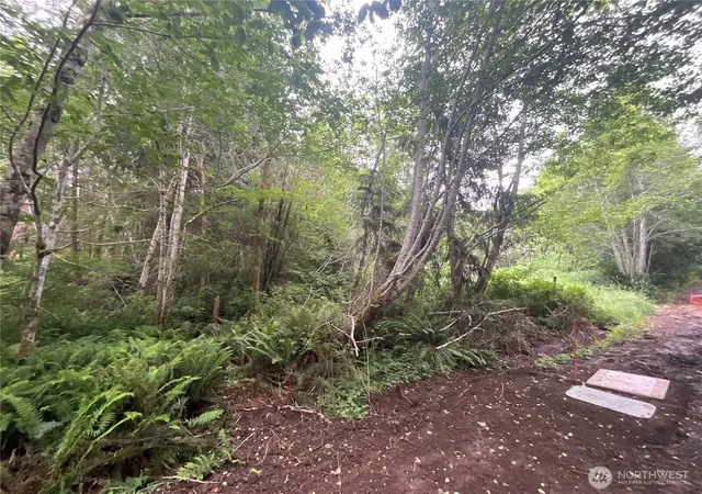 Photo 2 of Land for sale at 200 W Thunderbird Dr, Elma, WA 98541 | MLS# NWM2535964 | Listing updated on 2026-09-21