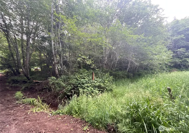 Photo 3 of Land for sale at 200 W Thunderbird Dr, Elma, WA 98541 | MLS# NWM2535964 | Listing updated on 2026-09-21
