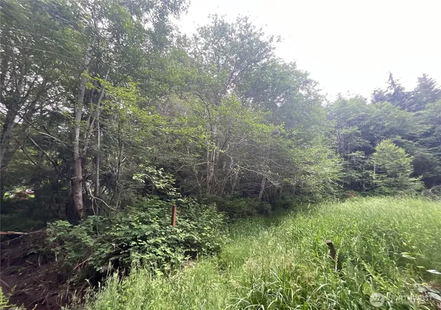 Photo 3 of Land for sale at 200 W Thunderbird Dr, Elma, WA 98541 | MLS# NWM2535964 | Listing updated on 2026-09-21