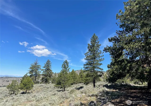 Photo 2 of Land for sale at 0 111 One Sky View Dr, Tonasket, WA 98855 | MLS# NWM2535992 | Listing updated on 2026-09-21