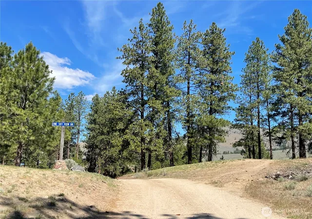 Photo 3 of Land for sale at 0 111 One Sky View Dr, Tonasket, WA 98855 | MLS# NWM2535992 | Listing updated on 2026-09-21