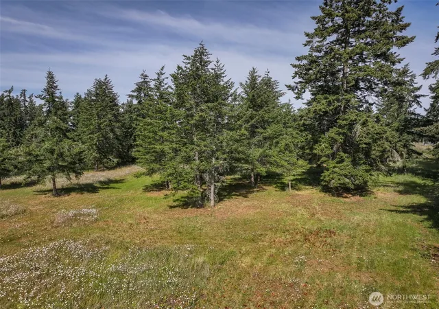 Photo 3 of Land for sale at 405 Riverside Rd #Lot C, Sequim, WA 98382 | MLS# NWM2536206 | Listing updated on 2026-09-21