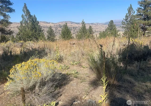 Photo 1 of Land for sale at 0 Tbd Reevas Basin Rd, Tonasket, WA 98855 | MLS# NWM2536280 | Listing updated on 2026-09-21