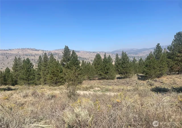 Photo 2 of Land for sale at 0 Tbd Reevas Basin Rd, Tonasket, WA 98855 | MLS# NWM2536280 | Listing updated on 2026-09-21