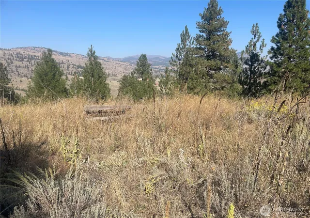Photo 3 of Land for sale at 0 Tbd Reevas Basin Rd, Tonasket, WA 98855 | MLS# NWM2536280 | Listing updated on 2026-09-21