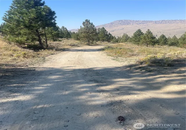 Photo 3 of Land for sale at 0 Tbd Reevas Basin Rd, Tonasket, WA 98855 | MLS# NWM2536280 | Listing updated on 2026-09-21