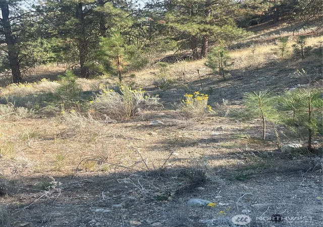 Photo 4 of Land for sale at 0 Tbd Reevas Basin Rd, Tonasket, WA 98855 | MLS# NWM2536280 | Listing updated on 2026-09-21