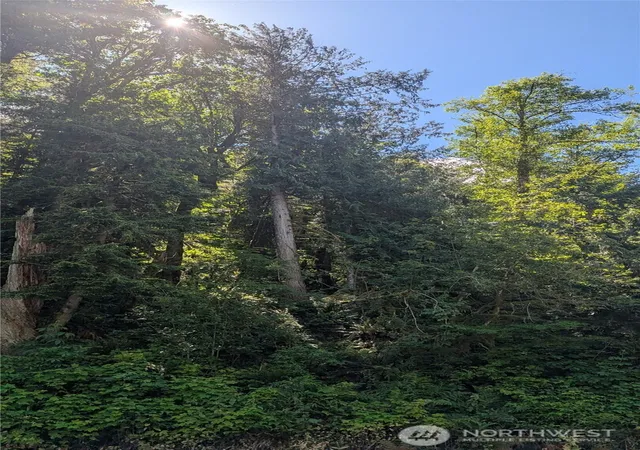 Photo 1 of Land for sale at 0 St Route 508 Hwy, Morton, WA 98356 | MLS# NWM2536373 | Listing updated on 2026-09-21