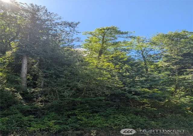 Photo 2 of Land for sale at 0 St Route 508 Hwy, Morton, WA 98356 | MLS# NWM2536373 | Listing updated on 2026-09-21