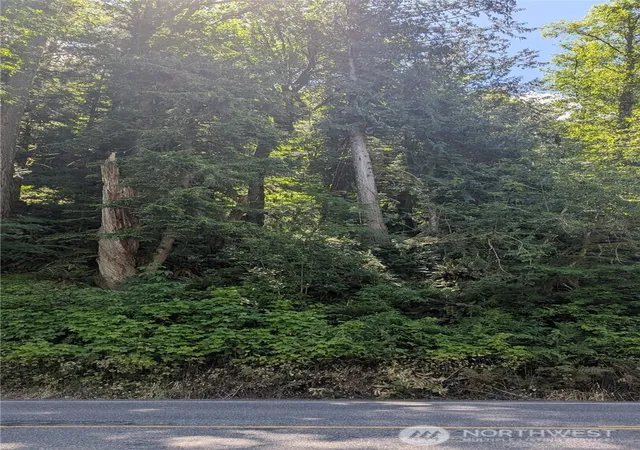 Photo 3 of Land for sale at 0 St Route 508 Hwy, Morton, WA 98356 | MLS# NWM2536373 | Listing updated on 2026-09-21
