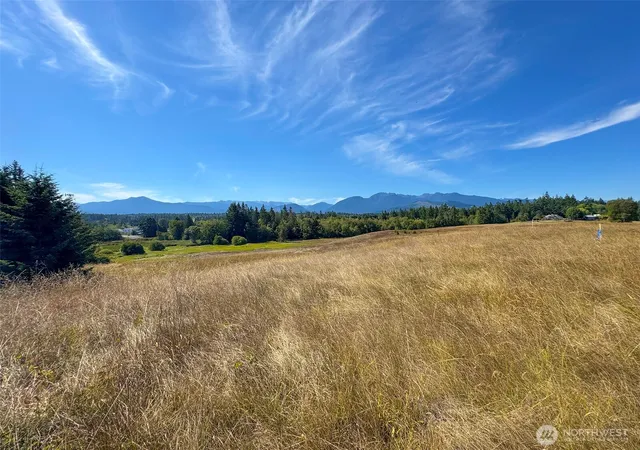 Photo 1 of Land for sale at 9999 Olympic Meadows Parcel 11, Port Angeles, WA 98362 | MLS# NWM2536393 | Listing updated on 2026-09-29