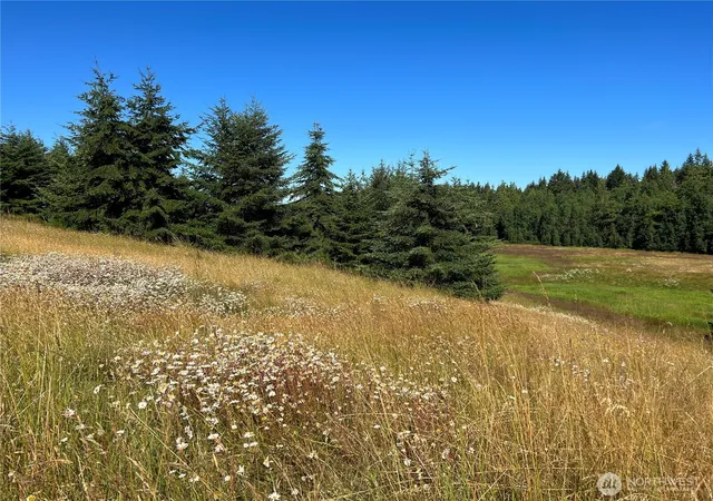 Photo 3 of Land for sale at 9999 Olympic Meadows Parcel 11, Port Angeles, WA 98362 | MLS# NWM2536393 | Listing updated on 2026-09-29