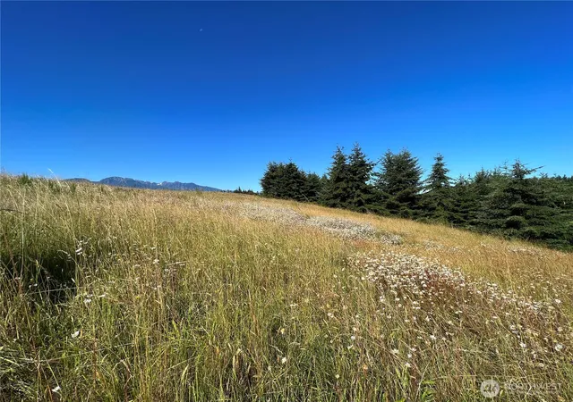 Photo 4 of Land for sale at 9999 Olympic Meadows Parcel 11, Port Angeles, WA 98362 | MLS# NWM2536393 | Listing updated on 2026-09-29