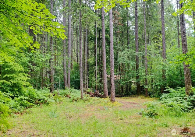 Photo 3 of Sale Pending at 120 N Kokanee Cvs Way, Hoodsport, WA 98548 | MLS# NWM2536481 | Listing updated on 2026-06-15