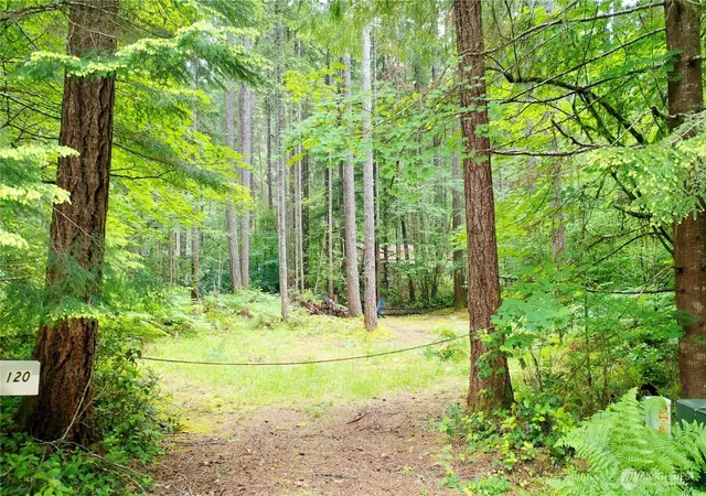 Photo 3 of Sale Pending at 120 N Kokanee Cvs Way, Hoodsport, WA 98548 | MLS# NWM2536481 | Listing updated on 2026-06-15