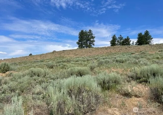 Photo 4 of Land for sale at 1 Alta Vista Way, Orondo, WA 98816 | MLS# NWM2536633 | Listing updated on 2026-09-21