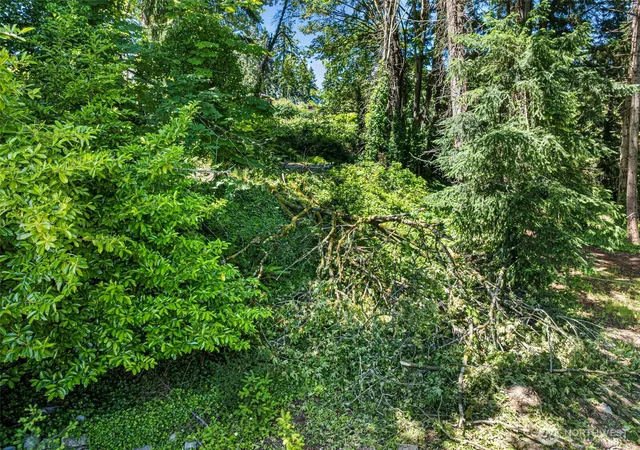 Photo 3 of Land for sale at 14447 Crescent Valley Rd Ne, Olalla, WA 98359 | MLS# NWM2536691 | Listing updated on 2026-09-21