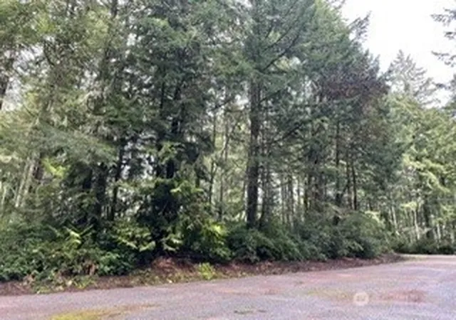 Photo 1 of Land for sale at 11307 114th Street Ct, Anderson Island, WA 98303 | MLS# NWM2536721 | Listing updated on 2026-09-21