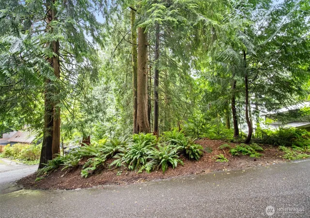 Photo 1 of Land for sale at 0 Sumerset Way, Sedro Woolley, WA 98284 | MLS# NWM2536873 | Listing updated on 2026-09-21